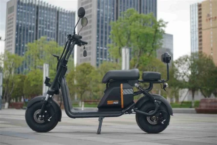 1000w-eec-mini-scooter-with-lithium-battery07d45